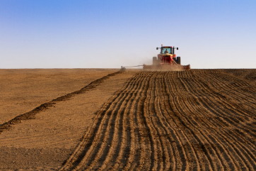 Египет расширил площадь сельхозземель более чем на 400 тыс. га